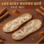 10 ĐÔI Lót Giày Hương Quế Khử Mùi – Lót Giày Không Hôi Chân